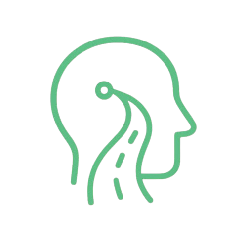 machinelearningroadmap.com